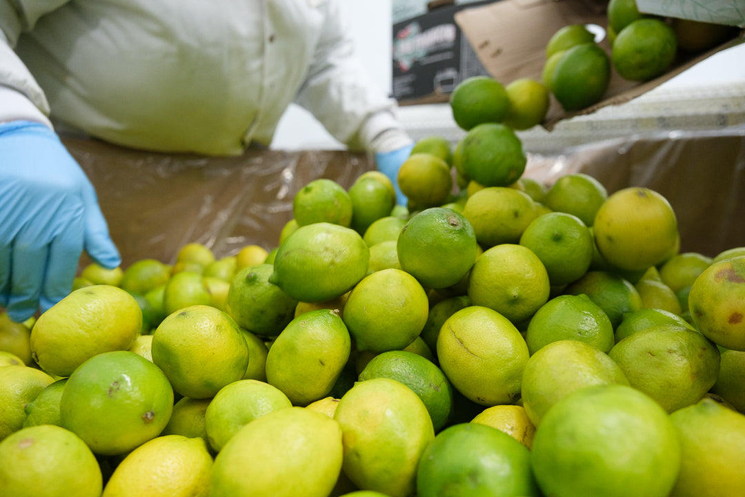 Juicing for Change: Inside LOOP Mission’s Production Process that’s Fi