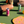 Load image into Gallery viewer, Bubbly Pack — Pickleball Edition
