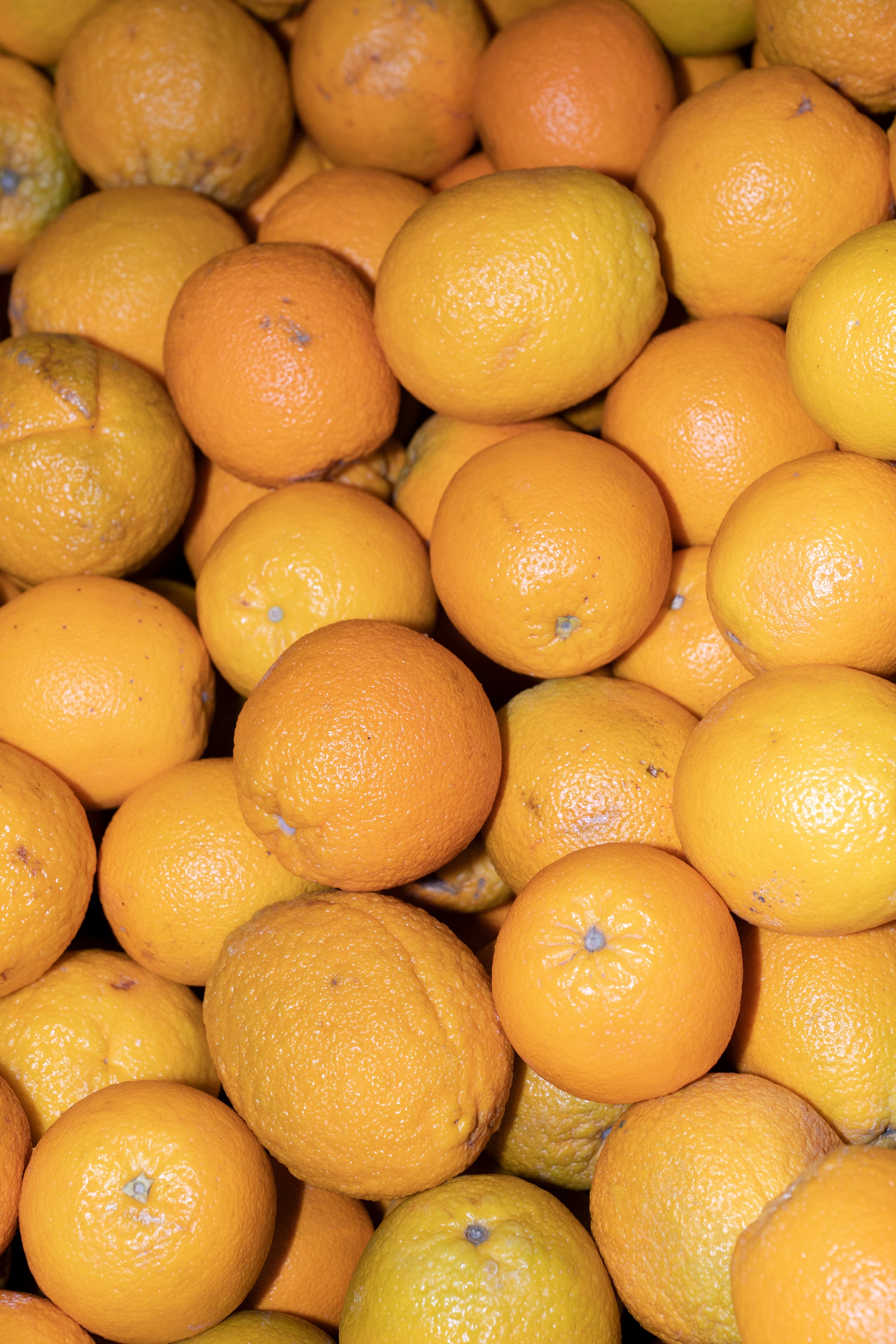 LOOP Mission - Fighting Food Waste