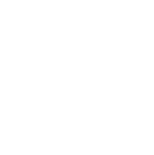 Loop Booster Shot BOOSTER SHOT 60ml - Cold Pressed Wellness Shot - LOOP Mission