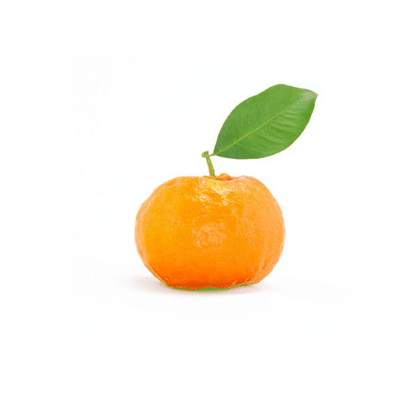 Sparkling Clementine