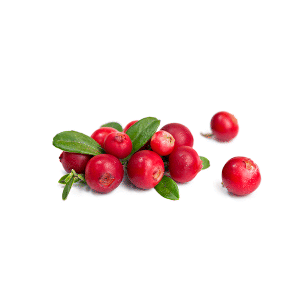 Cranberries