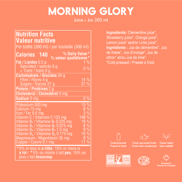 Morning Glory